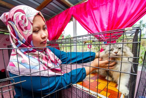 KB01_10052017_CELLY_CAT_HOUSE