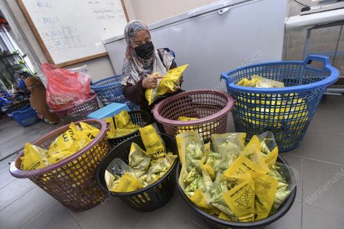 KETUPAT PALAS