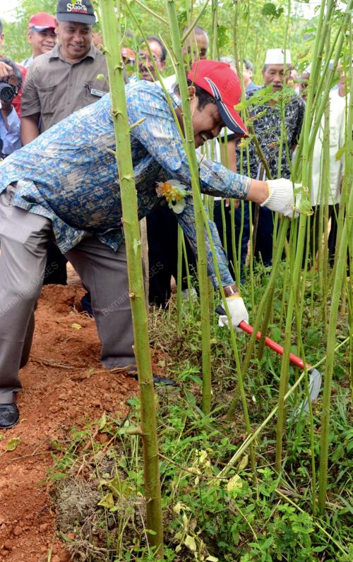 DATUK NOZULA MAT DIAH