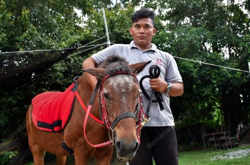 MUHAMMAD ASRUL SANI ABDUL HALIM