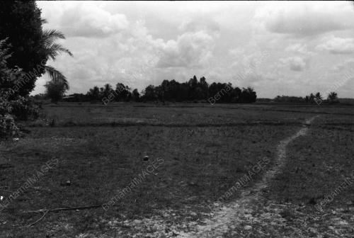 KEMARAU