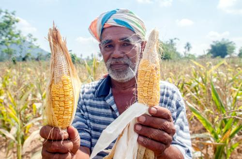 KB01_12052016_JAGUNG