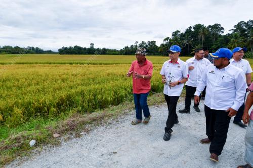 DATUK LUQMAN AHMAD