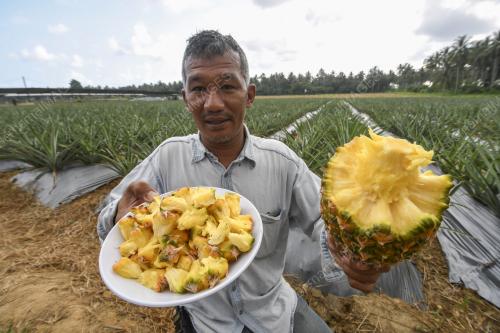 MOHD ALI DAIM IBRAHIM