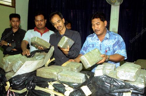 BUNGKUSAN GANJA
