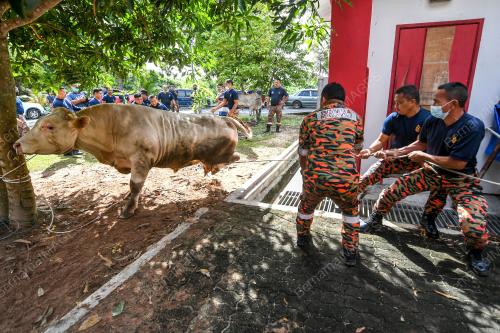 KORBAN PERDANA JBPM KELANTAN