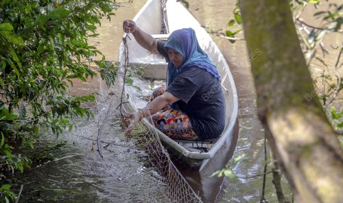 KB01_13112019_IKAN_PEKASAM