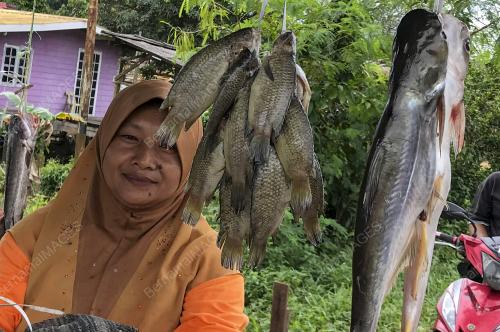 IKAN DARAT