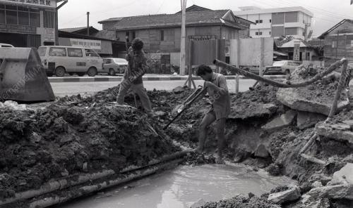 LONGKANG BESAR