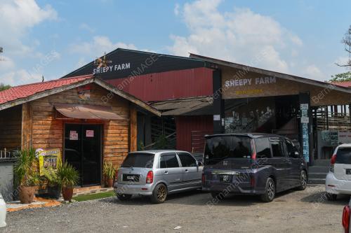 SHEEPY FARM & FROZEN DISTRIBUTION
