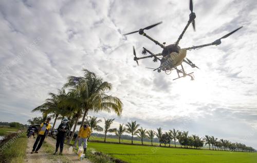 DRON SEMBURAN RACUN, BAJA PADI