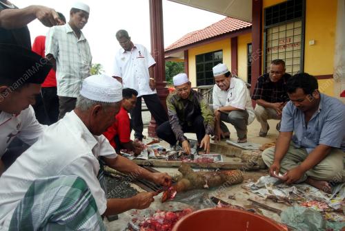 MUSTAPA MOHAMED