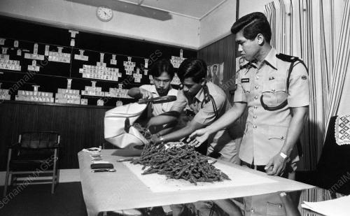 KB01_15012015_GANJA_DIRAMPAS