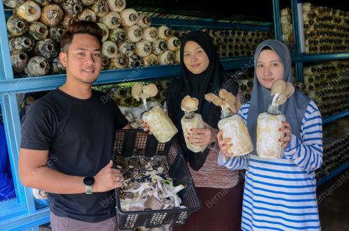 PENGUSAHA CENDAWAN