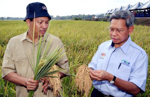 MUSTAPA MOHAMED