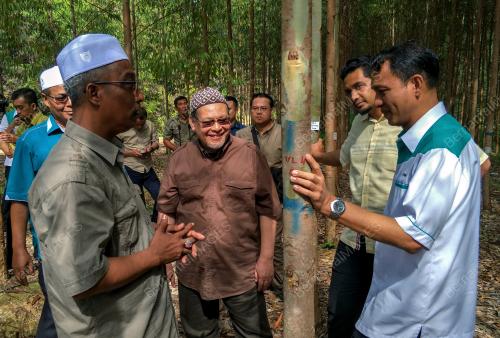 DATUK MOHD AMAR ABDULLAH