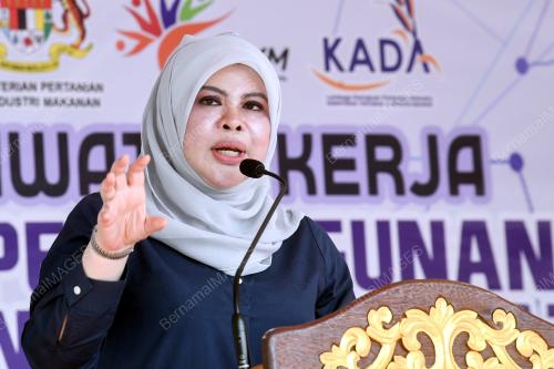 DATUK SERI RINA MOHD HARUN