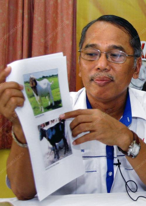 MOHD ZAIRI SERLAN