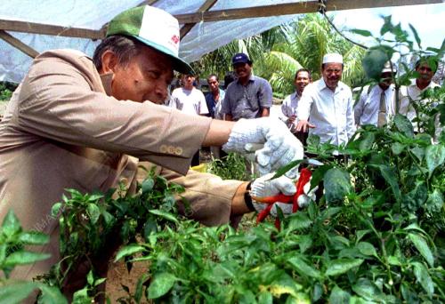 INGIN MENCUBA-CILI