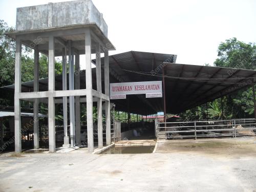 KANDANG LEMBU