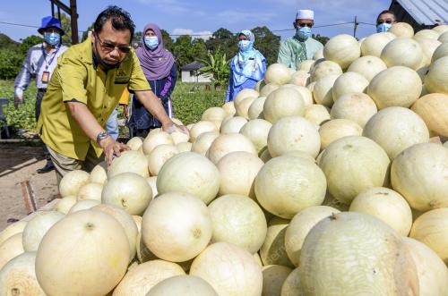 DATUK CHE ABDULLAH MAT NAWI