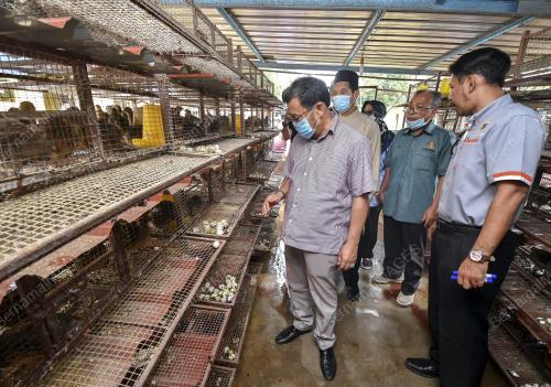 DATUK CHE ABDULLAH MAT NAWI