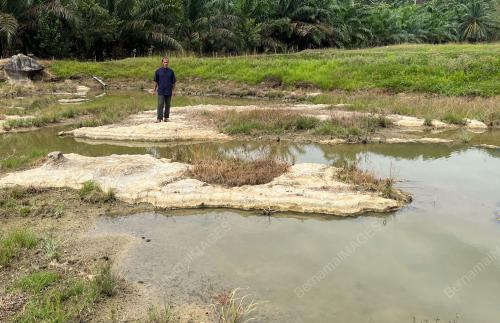 KOLAM IKAN KERING