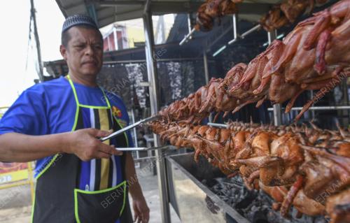PUYUH GOLEK