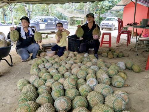 KB01_22072018_DURIAN