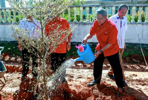 KB01_23042017_POKOK