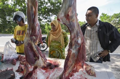 KB01_23052018_DAGING