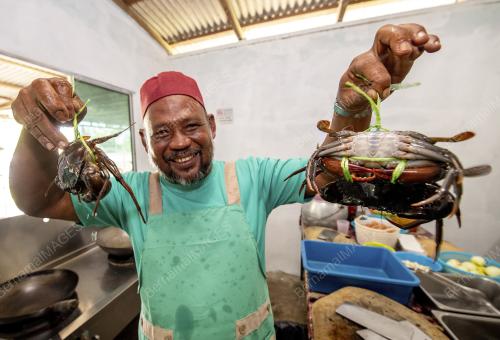 MAGGI KETAM SEJUK BEKU
