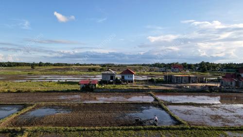 TINJAUAN AKTIVITI PESAWAH