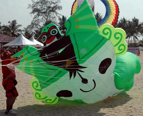 PESTA WAU