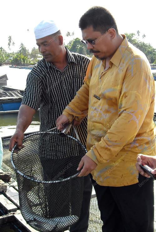 ZAWAWI ALI