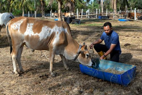 KB01_27042026_LEMBU_KALIMAH