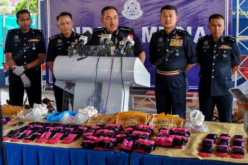 DATUK MUHAMAD ZAKI HARUN