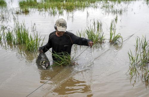 KB01_28112019_IKAN_DARAT