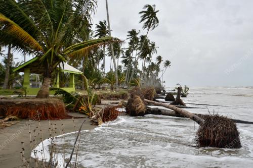 HAKISAN PANTAI