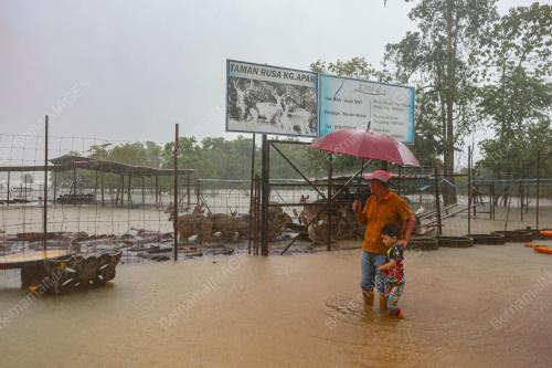BANJIR DI KANDANG RUSA