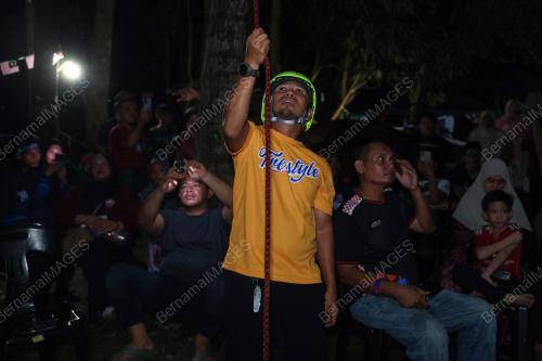NIGHT ON TREE