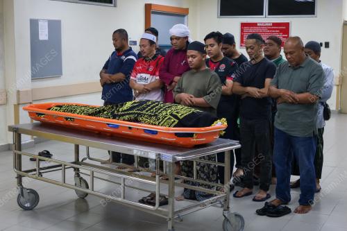 MANGSA SERANGAN GAJAH