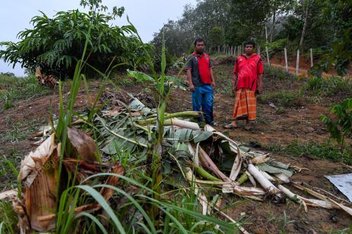 SERANGAN GAJAH LIAR