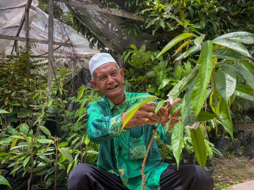 WARGA EMAS HASILKAN POKOK DURIAN