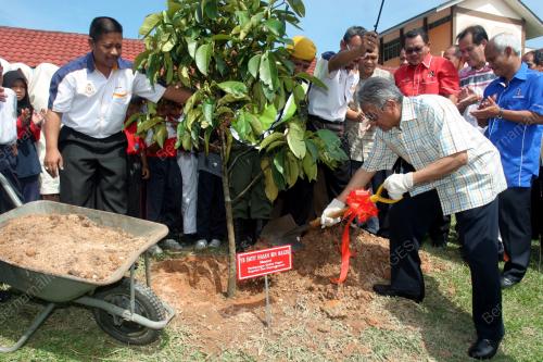 KB02_02102013_POKOK_LESTARI