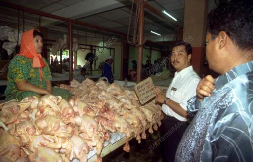 BERAPA HARGA AYAM