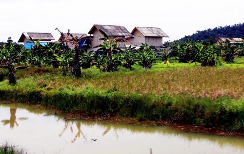KAMPUNG BUJANG