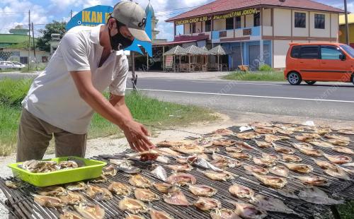 IKAN BEKOK