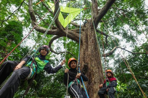 HOBI PANJAT POKOK