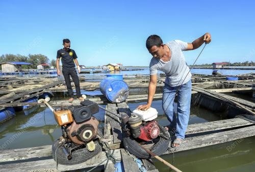 KB02_05032019_IKAN